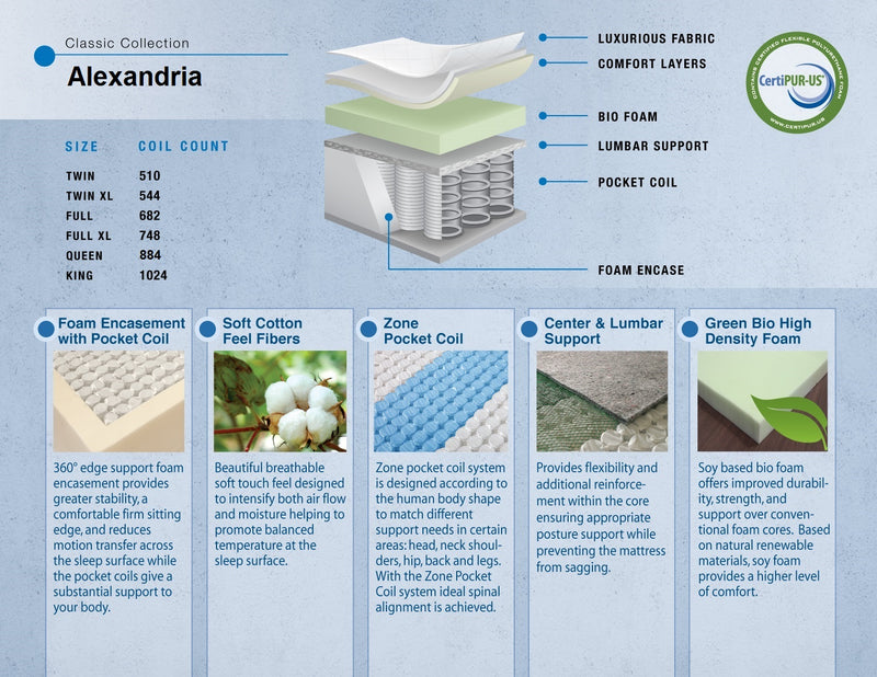 Alexandria Euro Top Pocket Coil Pillow Top Rolled and Boxed Mattress by Dreamstar