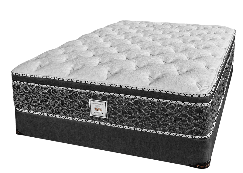 Midnight Comfort Latex with Pocket Coil Eurotop Pillow Top Rolled and Boxed Mattress by Dreamstar