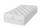 Perfect Dreamer High Density Foam Firm Rolled and Boxed Mattress by Dreamstar