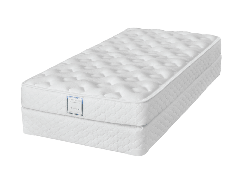 Perfect Dreamer High Density Foam Firm Rolled and Boxed Mattress by Dreamstar