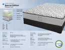 Special Edition Tight Top Pocket Coil Rolled and Boxed Mattress by Dreamstar