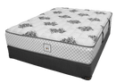Special Edition Tight Top Pocket Coil Rolled and Boxed Mattress by Dreamstar